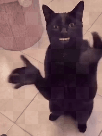 Black Cat With Big Smile GIF