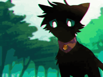 Black Cat With Blue Eyes And Collar GIF