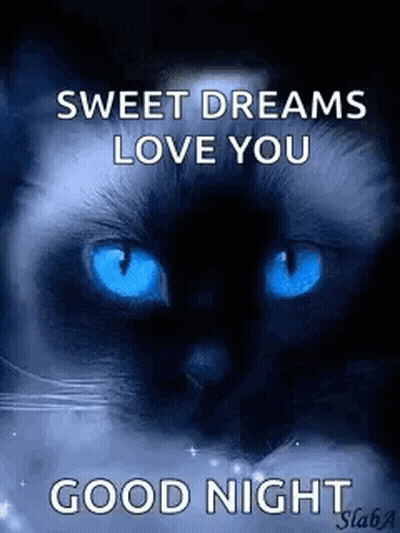 Black Cat With Blue Eyes And Sweet Dreams Love You GIF