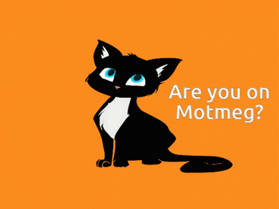 Black Cat With Blue Eyes Are You On Motmeg GIF