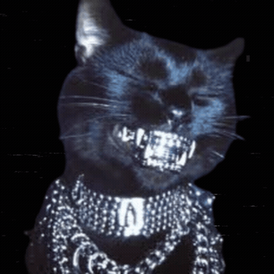 Black Cat With Chain And Necklace GIF