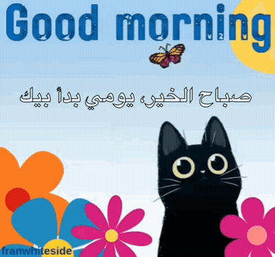 Black Cat With Flowers And Butterfly Saying Good Morning GIF
