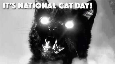 Black Cat With Glowing Eyes And Sharp Teeth National Cat Day GIF