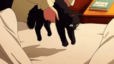 Black Cat With Green Eyes GIF