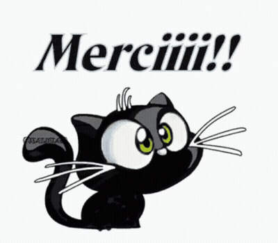 Black Cat With Green Eyes And Merci Sign GIF