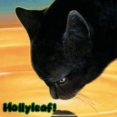 Black Cat With Hollyleaf GIF