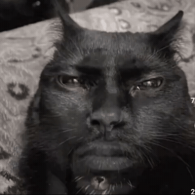 Black Cat With Horns and Beard Laying on Bed