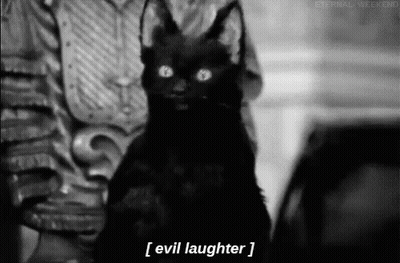 Black Cat With Horns Held By Person Saying Evil Laughter GIF