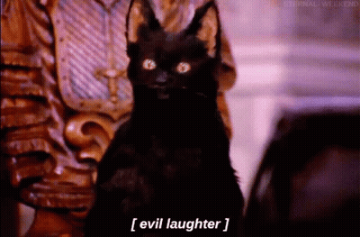 Black Cat with Horns Saying Evil Laughter