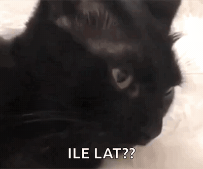 Black Cat With Ile Lat Text GIF