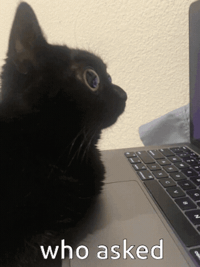 Black Cat With Laptop Saying Who Asked GIF