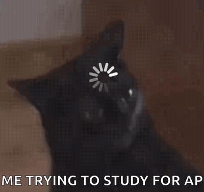 Black Cat With Loading Circle Me Trying To Study For AP GIF