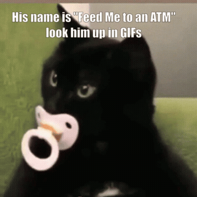 Black Cat With Pacifier Saying Feed Me To An ATM GIF