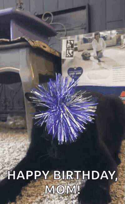 Black Cat With Purple Tinsel Ball GIF