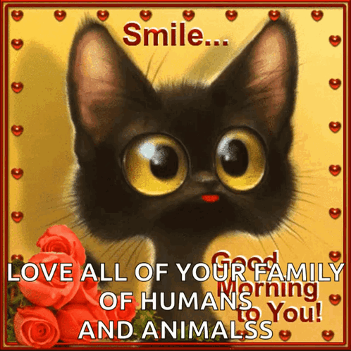Black Cat With Smile Love All Your Family GIF