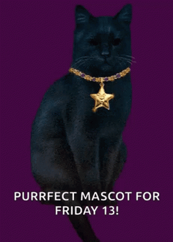 Black Cat With Star Necklace Friday The 13Th GIF