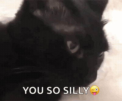Black Cat With Tongue Out Saying You So Silly GIF