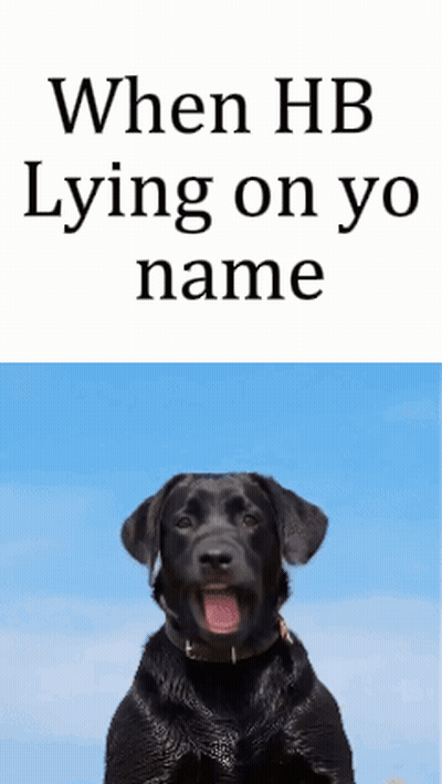 Black Dog Blue Sky Saying When HB Lying On Yo Name GIF