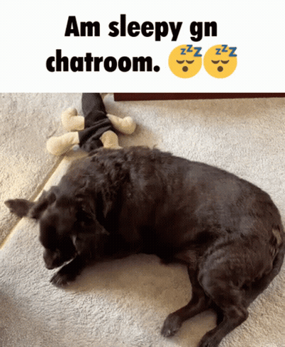 Black Dog Laying Next To Stuffed Animal Saying Am Sleepy Gn Chatroom GIF