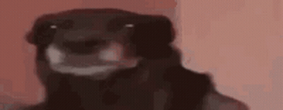 Black Dog Looking At Camera GIF