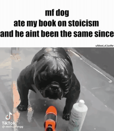 Black Dog Next To Bottle Of Lotion GIF
