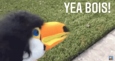 Black Dog Next To Toy Toucan Yea Bois GIF