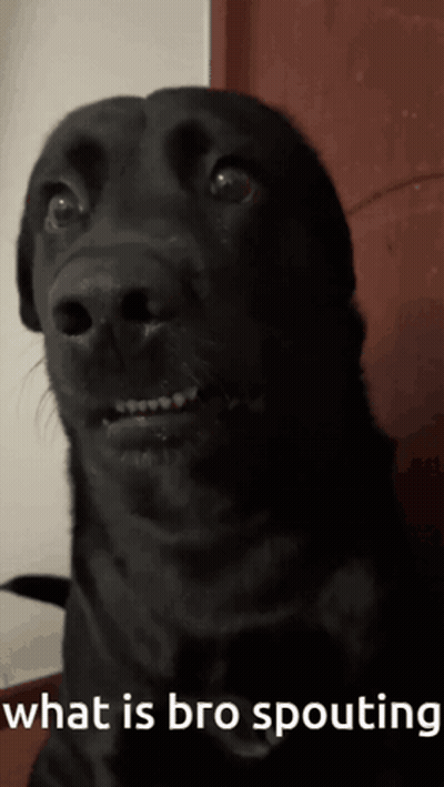 Black Dog Saying What Is Bro Spouting GIF