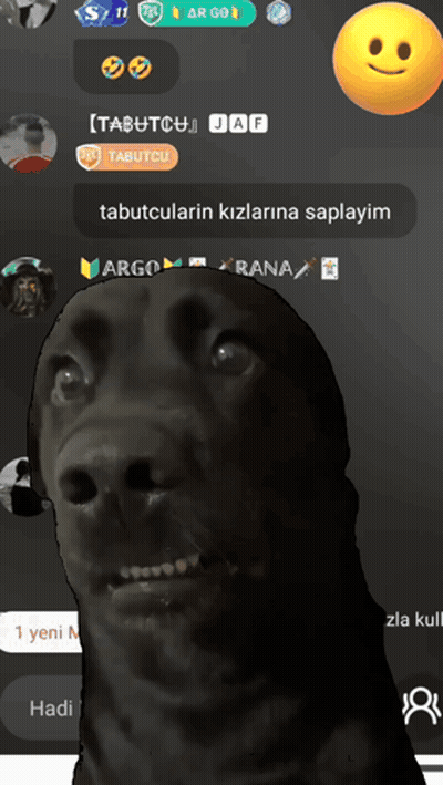 Black Dog Standing In Front Of Tabutcu Jaf Screen GIF