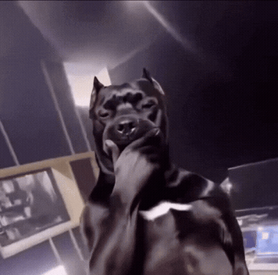 Black Dog With Hand on Chin