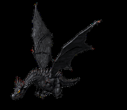 Black Dragon Flying