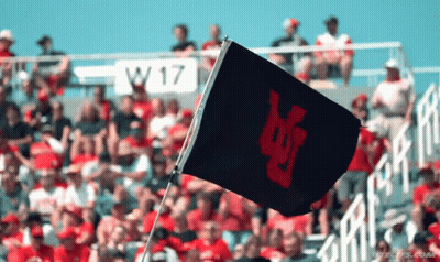 Black Flag With Red Lettering Flying In Front Of Crowd With W17 Sign GIF