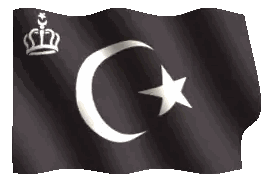 Black Flag With Silver Crescent Moon And Star Sticker