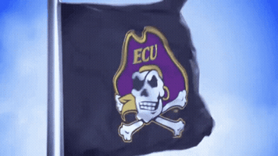 Black Flag With Skull And Crossbones Saying Ecu GIF