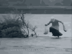 Black Friday Sneaky Shopping GIF
