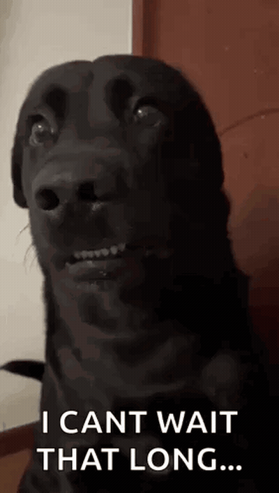 Black Funny Dog I Can't Wait That Long GIF