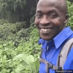 Black Guy In The Forest Okay Meme GIF