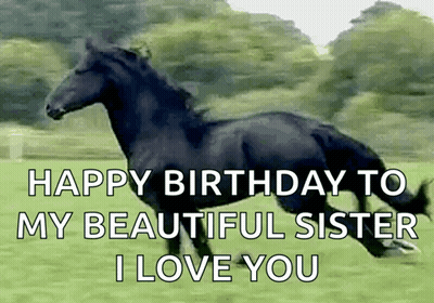 Black Horse Running Happy Birthday To My Beautiful Sister I Love You GIF