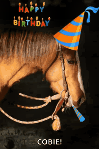 Black Horse Running Happy Birthday To My Beautiful Sister I Love You GIF