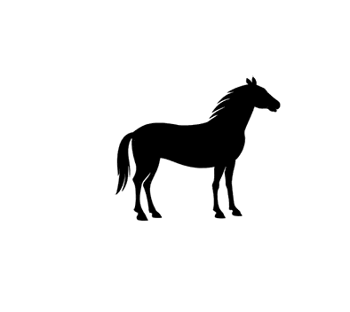 Black Horse Standing On Hind Legs Sticker