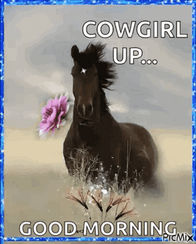 Black Horse With Pink Flower Saying Cowgirl Up Good Morning GIF