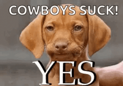 Black Horse With Pink Flower Saying Cowgirl Up Good Morning GIF