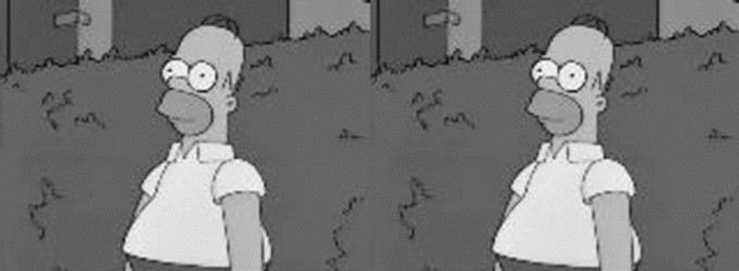 Black In White Homer Disappearing  GIF
