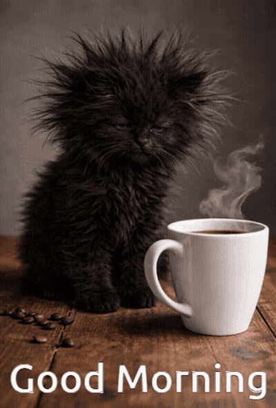 Black Kitten Next To Coffee Cup GIF