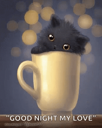 Black Kitten Peeking Out Of Coffee Cup Good Night My Love GIF