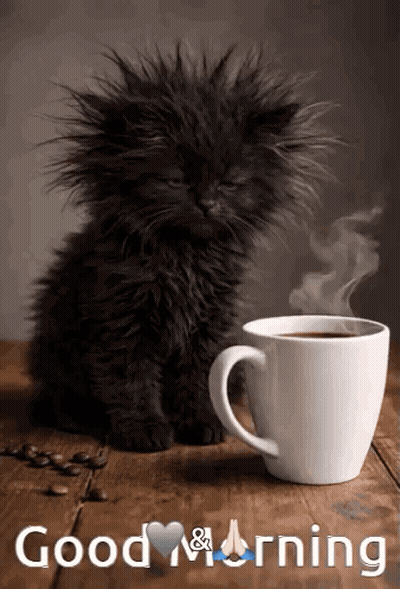 Black Kitten Sitting Next To Cup Of Coffee GIF
