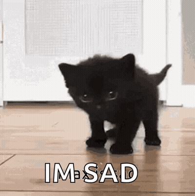 Black Kitten Walking On Floor Saying Im Sad GIF