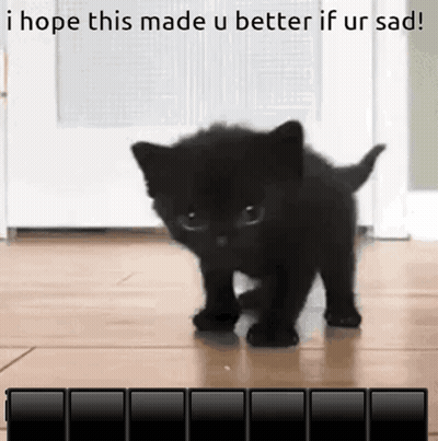 Black Kitten Walking On Wooden Floor I Hope This Made Ur Better If Ur Sad GIF