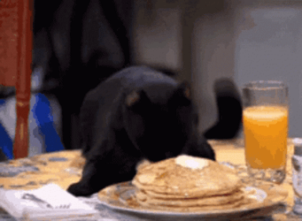 Black Kitty Loves Pancake GIF