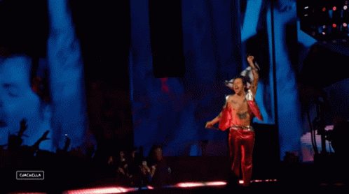 Black Lives Matter Flag Harry Styles GIF