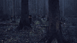 Black Monsters In Dark Forest GIF